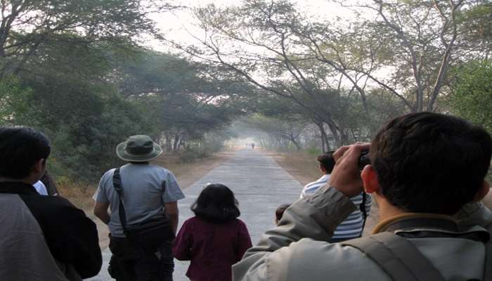 Two bird watcher watching birds in Brahmagiri Wildlife Sanctuary