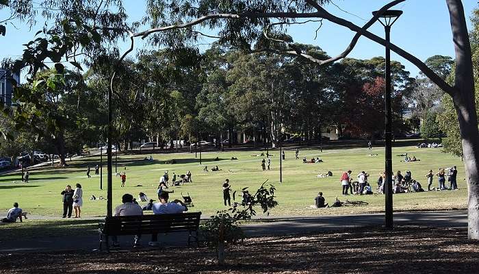 Park filled with people doing various activities in Camperdown Memorial Rest Park.