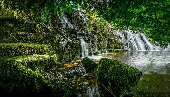 Cheeyappara Waterfalls is located in Kerala