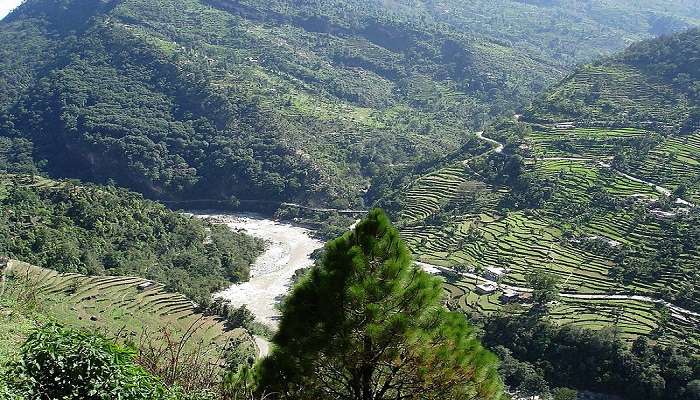 captivating view of Chopta located near Sari Village in Uttarakhand.