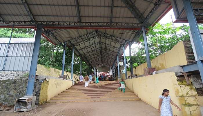 the Chottanikkara Bhagavathy Temple.