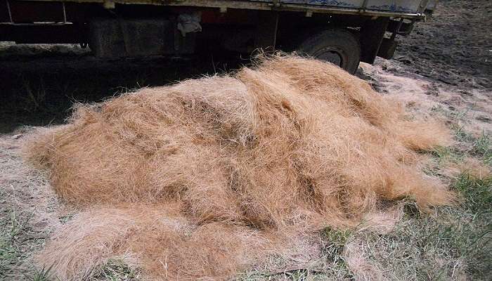 Coir production in Kumbalangi