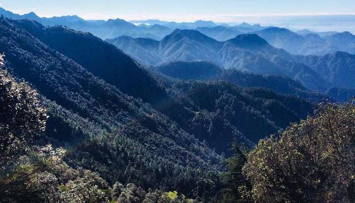 There are many plants and animals that call Jabarkhet Nature Reserve their home