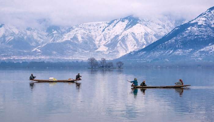 Dal Lake, a must see place near Shah Kashmir Arts Emporium.