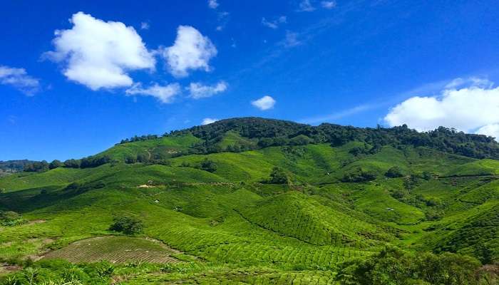 Deolo Hill in Kalimpong offers scenic views.