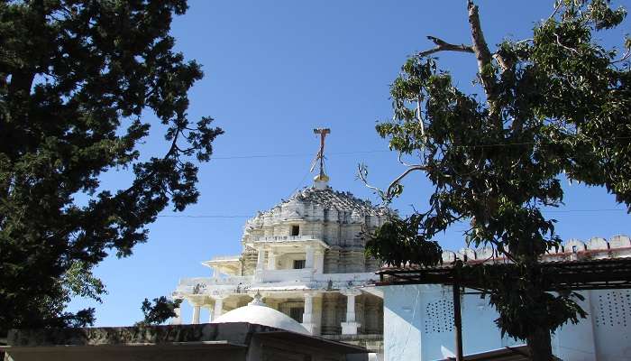 Intricate marble carvings at Dilwara Temples