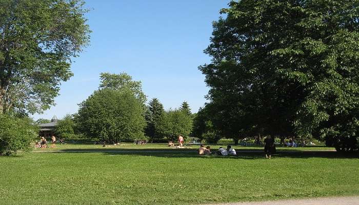 A large green urban open space or park.