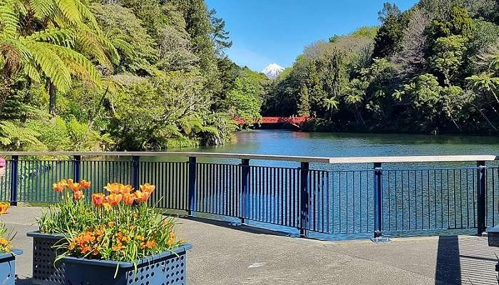 Poet's Bridge in Pukekura Park, New Plymouth, New Zealand