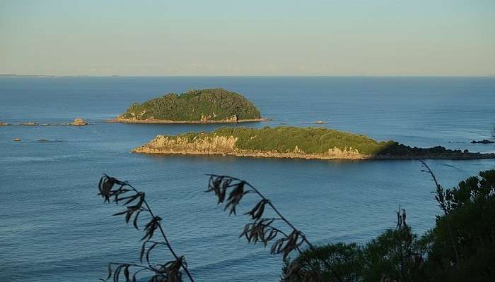 Motuotau Island and Moturiki Island