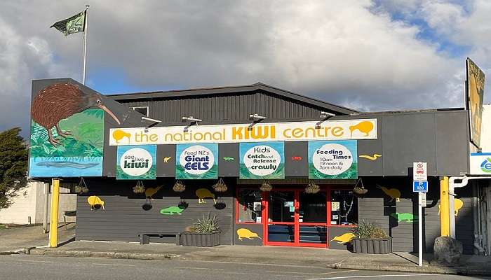 Visit The National Kiwi Centre, which is one of the best things to do in Hokitika.