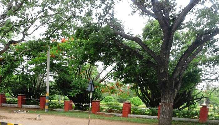 visit and explore the beauty of Manjunathapura Dr. Rajkumar Park 