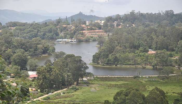 The rich biodiversity of Kodaikanal Lake