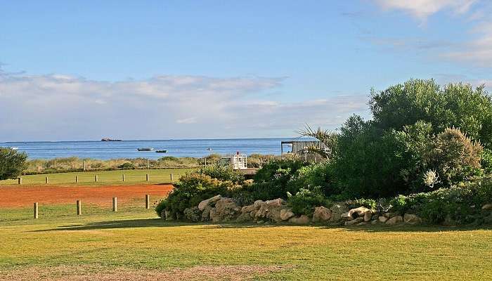 The green landscape of Geraldton