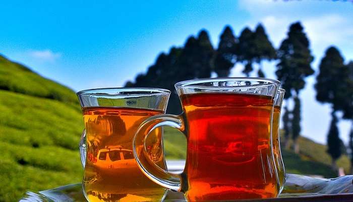 Enjoy the scenic views of Gopaldhara Tea Estate while sipping a cup of tea