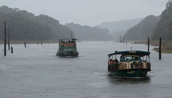 Witness Kerala’s biodiversity and sail on the Periyar river here, a popular place to visit.