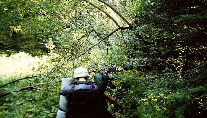 The Jabarkhet Nature Reserve's rich system of hiking and trekking paths