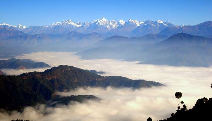 Fantastic view of the Himalayas from Chaubatia Gardens in Ranikhet. 