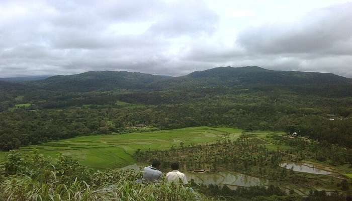 Beautiful tea plantation at Coorg near Honnamana Kere 