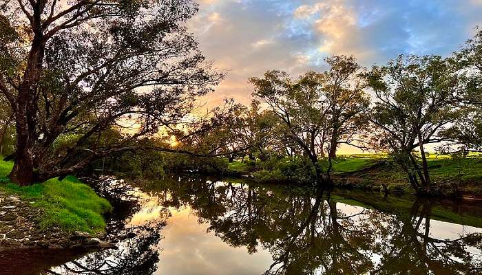 Mildura sits on the bank of The Murray River, one of the top things to do in mildura.