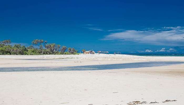 Coast of the picturesque Diani Beach