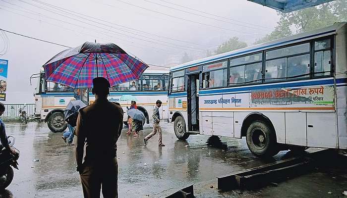 Local Transport