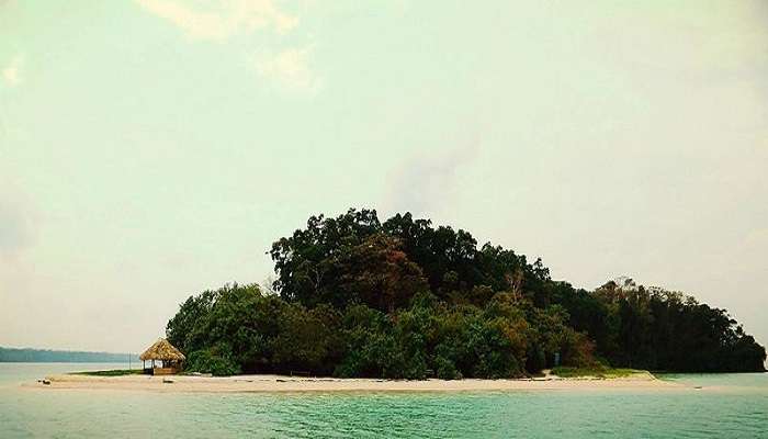 Explore the beauty of Jolly Buoy Island near Chidiya Tapu