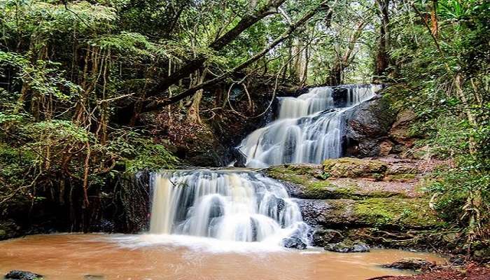 The gorgeous and the biggest waterfall in Karura Forest