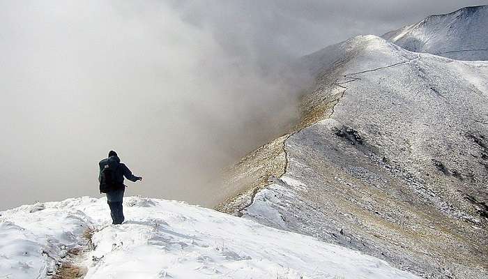 Hikers walking along the Kepler Track are the top Things to do in Te Anau .