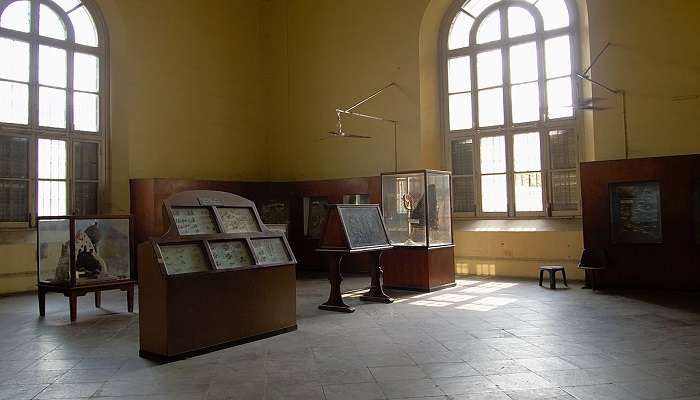 the corridors of the Kerala Folklore Museum