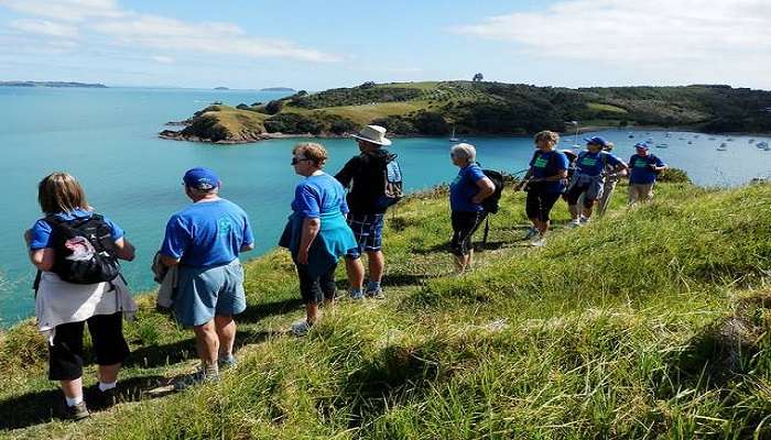 A scenic view from a nearby attraction in New Zealand