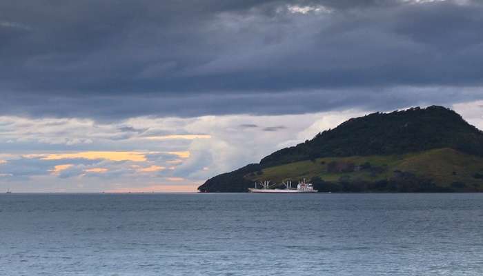 Tauranga Harbor is the top attraction.