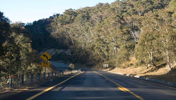  A walk to National Park in Australia and know few facts.