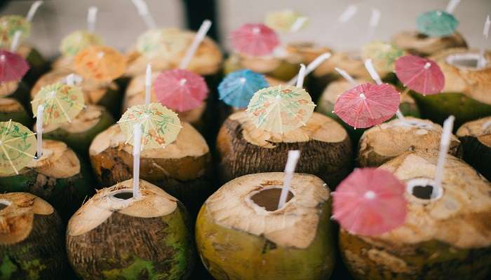 Everything to know about coconuts in the coconut museum