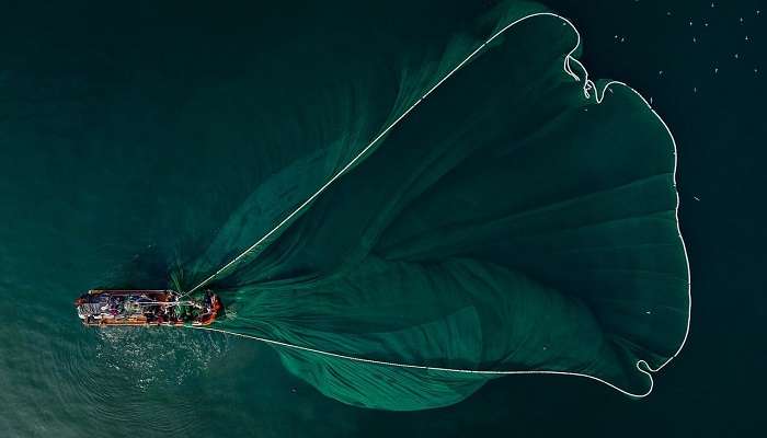 The stunning Kumbalangi fishing village