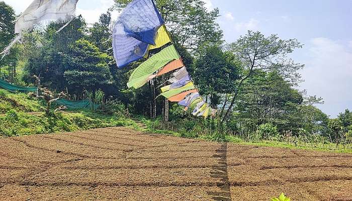 Prayer flags at Lamahatta Monastery. 