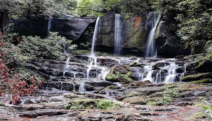 A view of Omanawa Falls with its majestic cascade