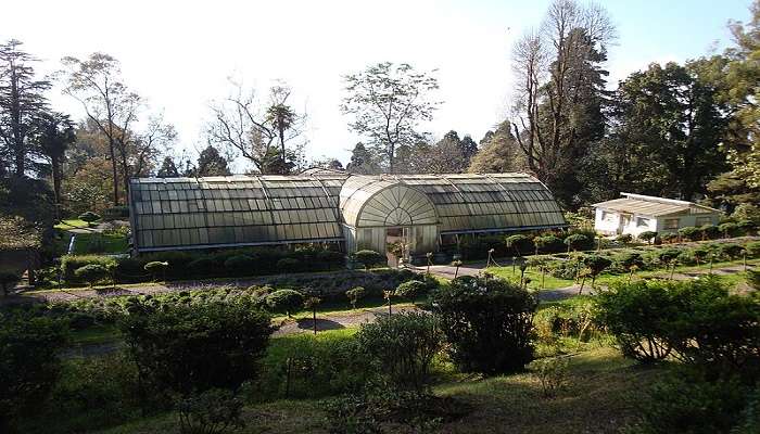 Ancient waterfall of the founder at Lloyd Botanical Garden