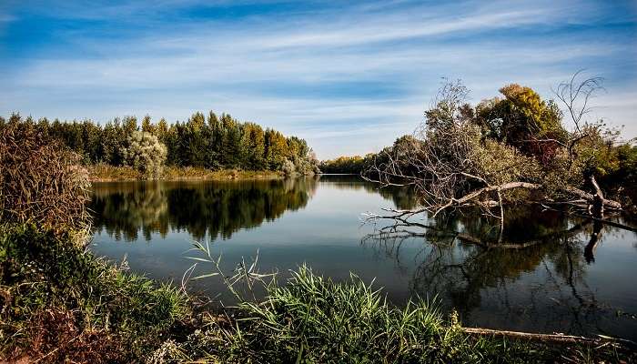 Among the rivers in Rajasthan, the Luni River is known as the only hope of the Thar desert