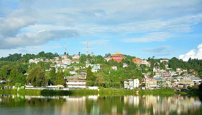 Elegant seasonal bird at Mirik Lake View Point