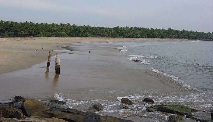 Munambam Beach in Kodungallur