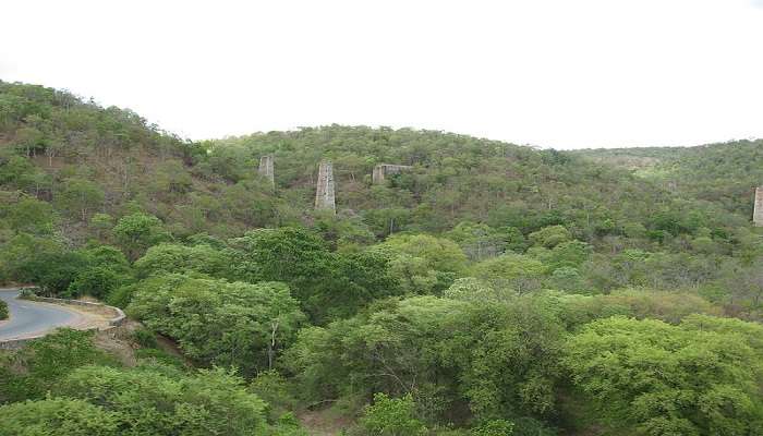 Nallamala Forest view near Koilkonda Fort