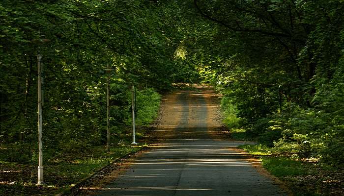 Necklace road near Ocean Park