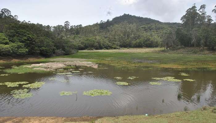  The scenic view of Berijam Lake