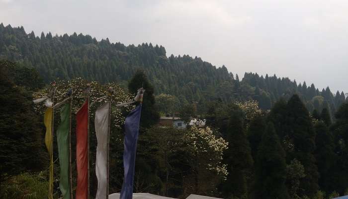 View from Pashupati Market, one of the vibrant places near Mirik Lake View Point. 