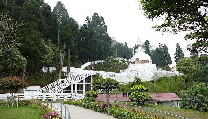 Foggy climate at Peace Pagoda.