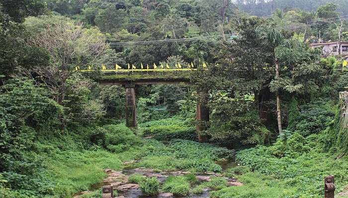 Peerumedu's new bridge gives a mesmerising view.