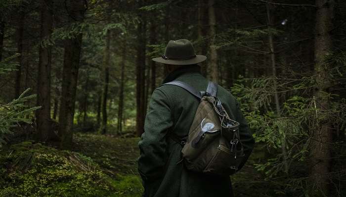 A person hiking amidst forest at Phulchoki in Nepal. 