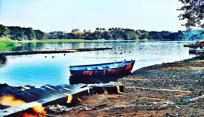 Picnic basket with fruits - enjoying a day at Karanji Lake, Mysore