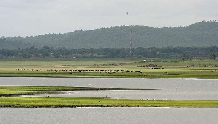 The popular Pocharam Wildlife Sanctuary near Medak Fort