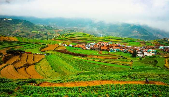  Poombarai Village near the Berijam Lake. 